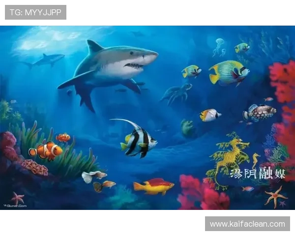 金鲨银鲨：关于海底捕食者的科普知识与公众认知的提升途径探讨